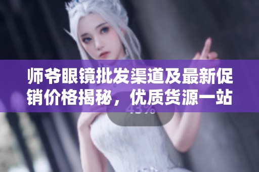 师爷眼镜批发渠道及最新促销价格揭秘，优质货源一站获取