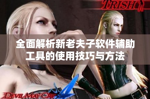 全面解析新老夫子软件辅助工具的使用技巧与方法