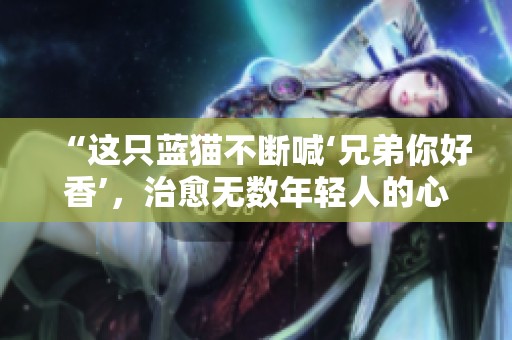 “这只蓝猫不断喊‘兄弟你好香’，治愈无数年轻人的心灵故事”