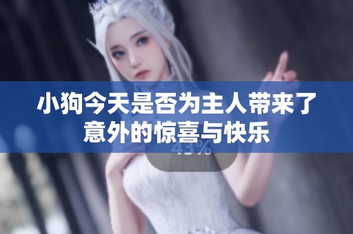 小狗今天是否为主人带来了意外的惊喜与快乐