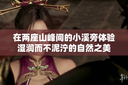 在两座山峰间的小溪旁体验湿润而不泥泞的自然之美
