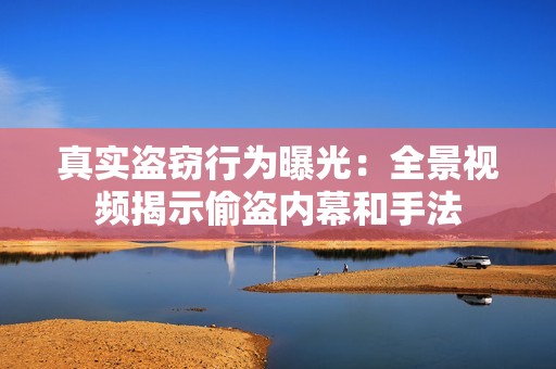 真实盗窃行为曝光：全景视频揭示偷盗内幕和手法