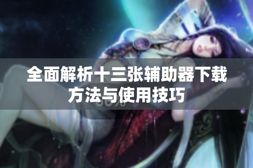 全面解析十三张辅助器下载方法与使用技巧