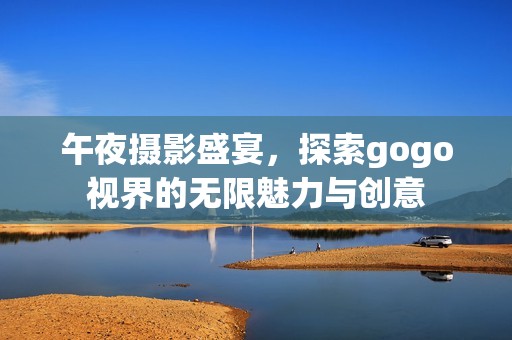 午夜摄影盛宴，探索gogo视界的无限魅力与创意