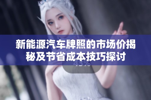 新能源汽车牌照的市场价揭秘及节省成本技巧探讨