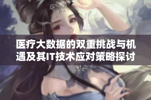 医疗大数据的双重挑战与机遇及其IT技术应对策略探讨