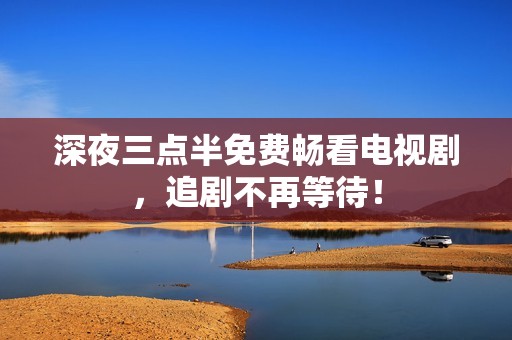 深夜三点半免费畅看电视剧，追剧不再等待！
