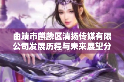 曲靖市麒麟区清扬传媒有限公司发展历程与未来展望分析