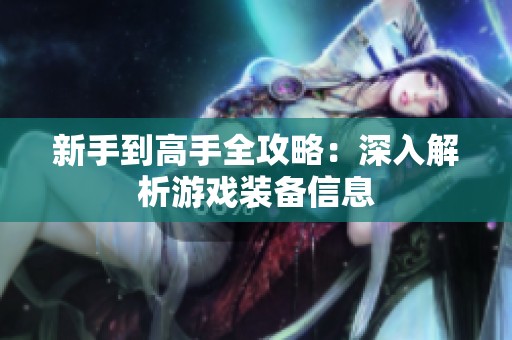 新手到高手全攻略：深入解析游戏装备信息