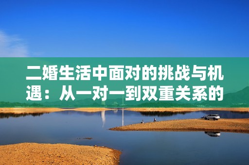 二婚生活中面对的挑战与机遇：从一对一到双重关系的转变