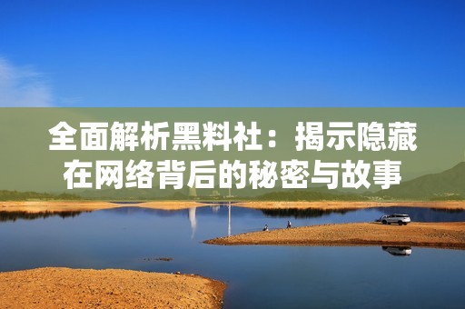 全面解析黑料社：揭示隐藏在网络背后的秘密与故事