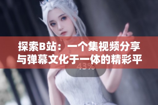 探索B站：一个集视频分享与弹幕文化于一体的精彩平台