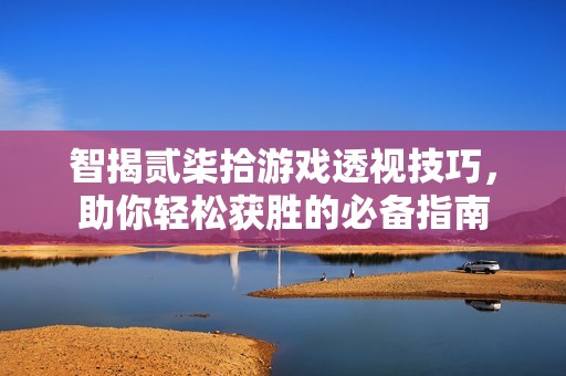 智揭贰柒拾游戏透视技巧，助你轻松获胜的必备指南