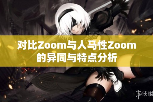 对比Zoom与人马性Zoom的异同与特点分析