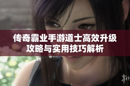 传奇霸业手游道士高效升级攻略与实用技巧解析