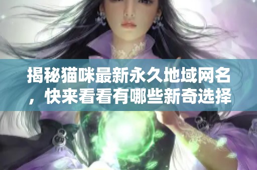 揭秘猫咪最新永久地域网名，快来看看有哪些新奇选择！