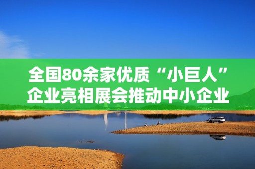 全国80余家优质“小巨人”企业亮相展会推动中小企业发展