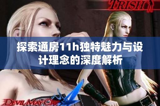 探索通房11h独特魅力与设计理念的深度解析