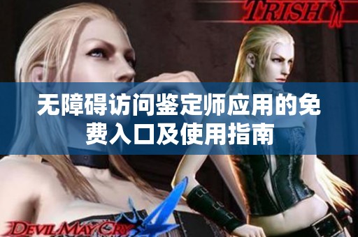 无障碍访问鉴定师应用的免费入口及使用指南