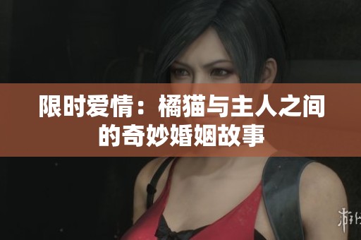 限时爱情：橘猫与主人之间的奇妙婚姻故事