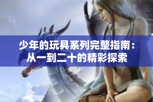 少年的玩具系列完整指南：从一到二十的精彩探索