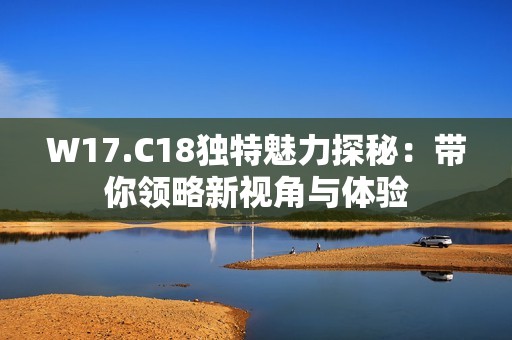 W17.C18独特魅力探秘：带你领略新视角与体验