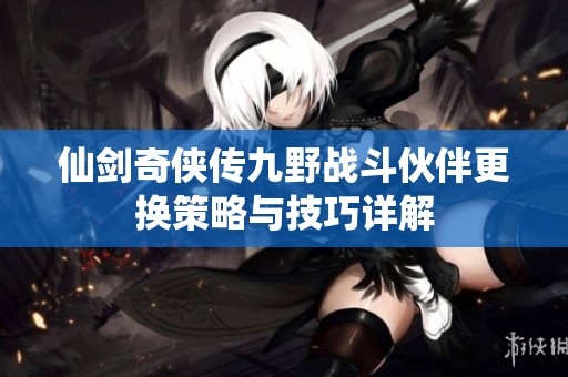 仙剑奇侠传九野战斗伙伴更换策略与技巧详解