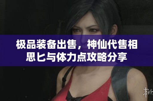 极品装备出售，神仙代售相思匕与体力点攻略分享