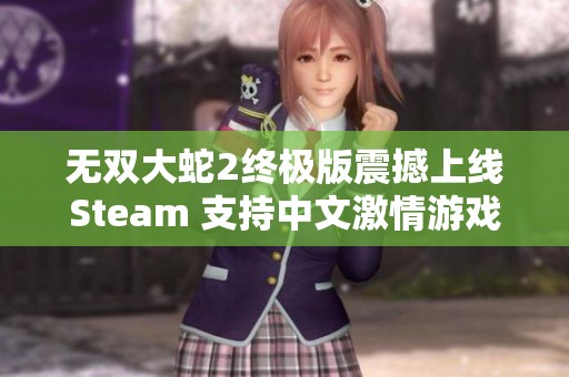 无双大蛇2终极版震撼上线Steam 支持中文激情游戏体验
