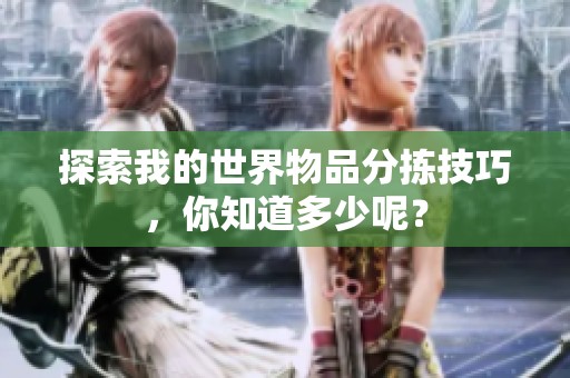 探索我的世界物品分拣技巧，你知道多少呢？