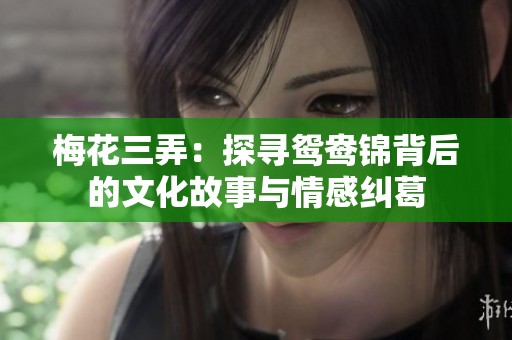 梅花三弄：探寻鸳鸯锦背后的文化故事与情感纠葛
