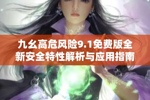 九幺高危风险9.1免费版全新安全特性解析与应用指南