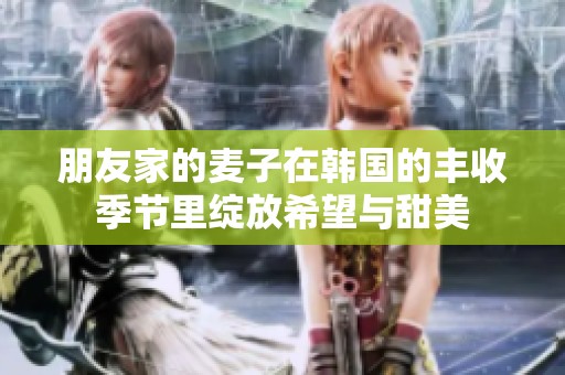 朋友家的麦子在韩国的丰收季节里绽放希望与甜美