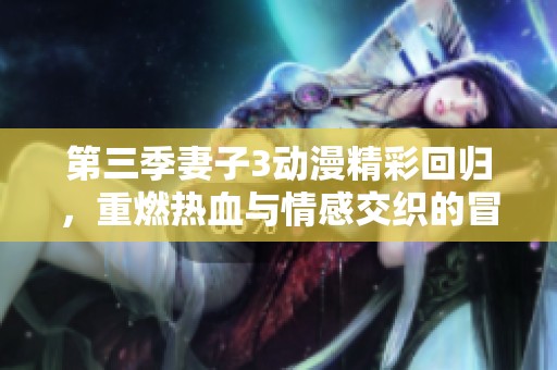 第三季妻子3动漫精彩回归，重燃热血与情感交织的冒险之旅