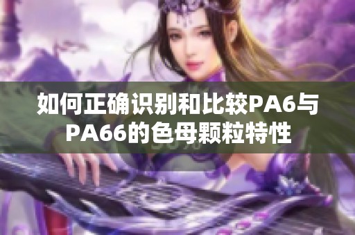 如何正确识别和比较PA6与PA66的色母颗粒特性
