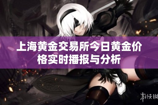 上海黄金交易所今日黄金价格实时播报与分析