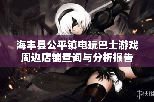 海丰县公平镇电玩巴士游戏周边店铺查询与分析报告