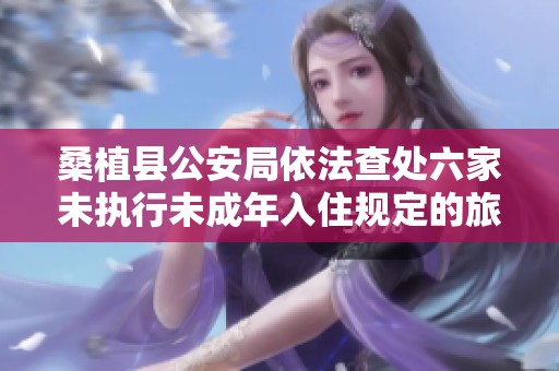 桑植县公安局依法查处六家未执行未成年入住规定的旅馆