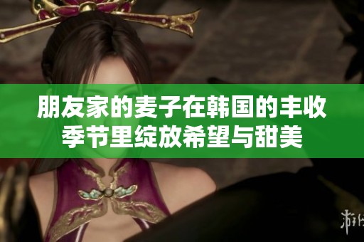 朋友家的麦子在韩国的丰收季节里绽放希望与甜美