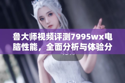 鲁大师视频评测7995wx电脑性能，全面分析与体验分享