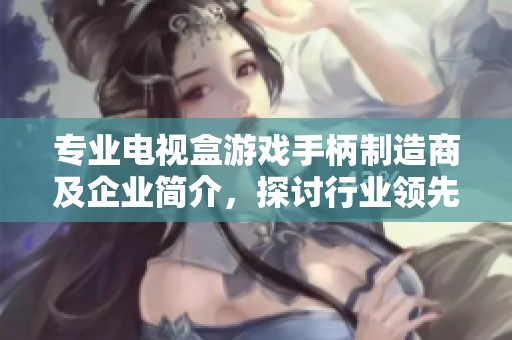 专业电视盒游戏手柄制造商及企业简介，探讨行业领先厂家与市场发展趋势