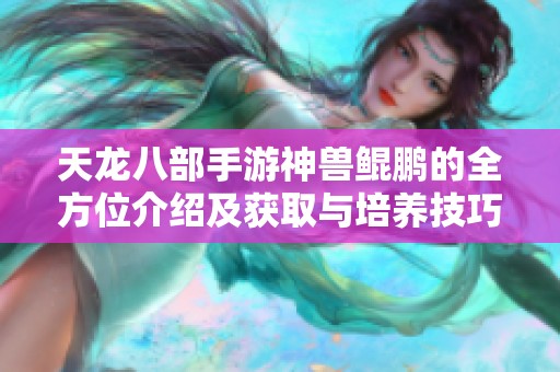 天龙八部手游神兽鲲鹏的全方位介绍及获取与培养技巧深入解析