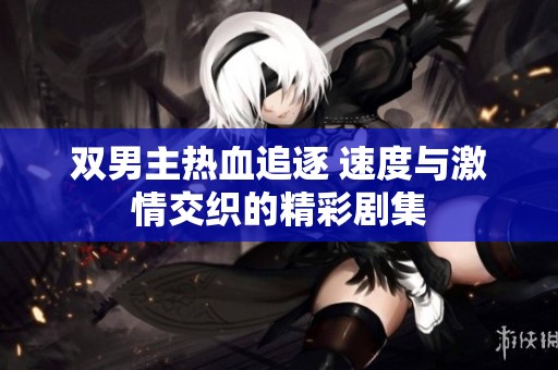 双男主热血追逐 速度与激情交织的精彩剧集