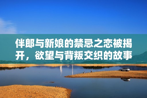 伴郎与新娘的禁忌之恋被揭开，欲望与背叛交织的故事