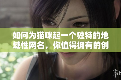 如何为猫咪起一个独特的地域性网名，你值得拥有的创意选择