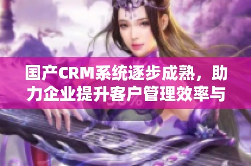 国产CRM系统逐步成熟，助力企业提升客户管理效率与服务质量