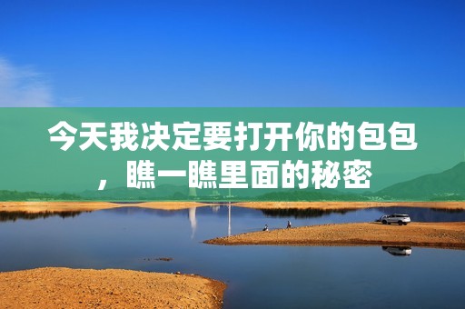 今天我决定要打开你的包包，瞧一瞧里面的秘密
