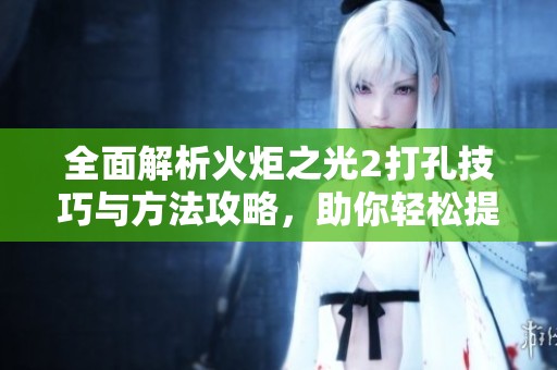 全面解析火炬之光2打孔技巧与方法攻略，助你轻松提升游戏体验
