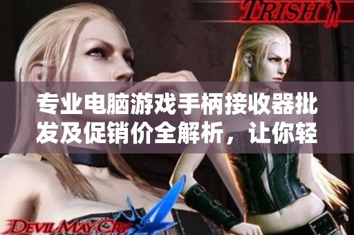 专业电脑游戏手柄接收器批发及促销价全解析，让你轻松畅玩游戏世界