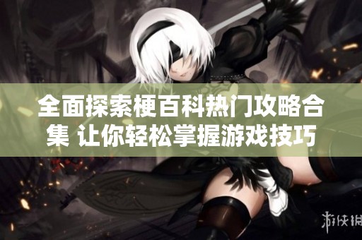 全面探索梗百科热门攻略合集 让你轻松掌握游戏技巧与秘诀